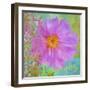 Colors Of Flowers I - Cosmos-Cora Niele-Framed Giclee Print