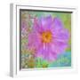 Colors Of Flowers I - Cosmos-Cora Niele-Framed Giclee Print