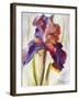 Colors of Iris I-Maria Zielinksa-Framed Art Print