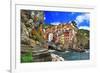 Colors of Italy - Riomaggiore, Pictorial Fishing Village,Liguria-Maugli-l-Framed Photographic Print