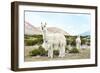 Colors of Peru - Alpaca Baby and Mom-Philippe HUGONNARD-Framed Photographic Print