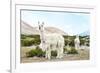 Colors of Peru - Alpaca Baby and Mom-Philippe HUGONNARD-Framed Photographic Print