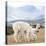 Colors of Peru - Alpaca Family-Philippe HUGONNARD-Stretched Canvas