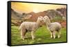 Colors of Peru - Alpaca Love-Philippe HUGONNARD-Framed Stretched Canvas