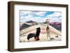 Colors of Peru - Black and White-Philippe HUGONNARD-Framed Photographic Print