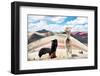 Colors of Peru - Black and White-Philippe HUGONNARD-Framed Photographic Print