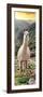 Colors of Peru - Llama at Sunset-Philippe HUGONNARD-Framed Photographic Print