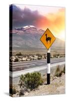 Colors of Peru - Llama Warning-Philippe HUGONNARD-Stretched Canvas