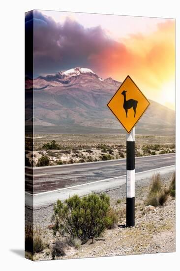 Colors of Peru - Llama Warning-Philippe HUGONNARD-Stretched Canvas