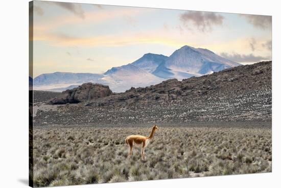 Colors of Peru - Lonely-Philippe HUGONNARD-Stretched Canvas