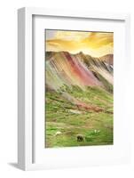 Colors of Peru - Rainbow Mountain at Sunset-Philippe HUGONNARD-Framed Photographic Print