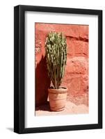 Colors of Peru - Terracotta Cactus-Philippe HUGONNARD-Framed Photographic Print