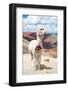 Colors of Peru - White Alpaca Palcoyo-Philippe HUGONNARD-Framed Photographic Print