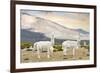 Colors of Peru - White Llamas-Philippe HUGONNARD-Framed Photographic Print