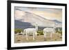 Colors of Peru - White Llamas-Philippe HUGONNARD-Framed Photographic Print