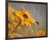 Colors of Summer-null-Framed Premium Giclee Print