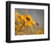 Colors of Summer-null-Framed Art Print