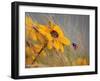 Colors of Summer-Anna Cseresnjes-Framed Premium Photographic Print