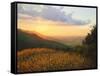 Colors Of The Light-kirilstanchev-Framed Stretched Canvas