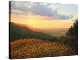 Colors Of The Light-kirilstanchev-Stretched Canvas