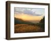 Colors Of The Light-kirilstanchev-Framed Art Print