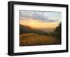 Colors Of The Light-kirilstanchev-Framed Art Print