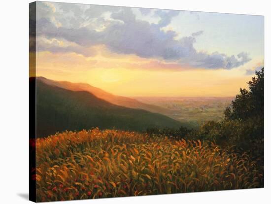 Colors Of The Light-kirilstanchev-Stretched Canvas