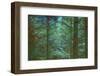 Colors Of The Morning-Jacob Berghoef-Framed Photographic Print