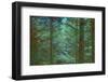 Colors Of The Morning-Jacob Berghoef-Framed Photographic Print