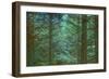 Colors Of The Morning-Jacob Berghoef-Framed Photographic Print