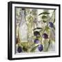 Colors of Tuscany I-Color Bakery-Framed Giclee Print