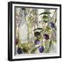 Colors of Tuscany I-Color Bakery-Framed Giclee Print