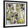 Colors of Tuscany II-Color Bakery-Framed Giclee Print