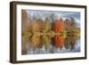 Colors On The Lake-5fishcreative-Framed Giclee Print