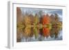 Colors On The Lake-5fishcreative-Framed Giclee Print