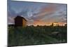 Colors Over The Vineyard-5fishcreative-Mounted Giclee Print