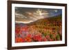 Colors-Marco Carmassi-Framed Photographic Print