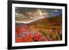 Colors-Marco Carmassi-Framed Photographic Print