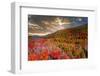 Colors-Marco Carmassi-Framed Photographic Print