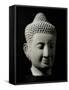 Colossal Buddha Head-null-Framed Stretched Canvas