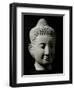 Colossal Buddha Head-null-Framed Art Print