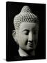 Colossal Buddha Head-null-Stretched Canvas