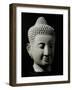 Colossal Buddha Head-null-Framed Art Print