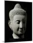 Colossal Buddha Head-null-Mounted Art Print