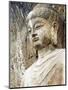 Colossal Buddha Sculpture at Fengxian Temple of Longmen Grottoes-Xiaoyang Liu-Mounted Premium Photographic Print