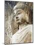 Colossal Buddha Sculpture at Fengxian Temple of Longmen Grottoes-Xiaoyang Liu-Mounted Photographic Print