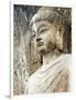 Colossal Buddha Sculpture at Fengxian Temple of Longmen Grottoes-Xiaoyang Liu-Framed Photographic Print