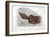 Colossal Head Discovered in the Ruins of Carnak, 1820-Agostino Aglio-Framed Giclee Print