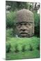 Colossal Head-Olmec-Mounted Giclee Print