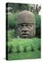 Colossal Head-Olmec-Stretched Canvas